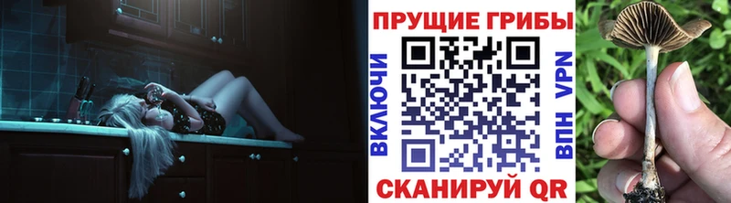 Галлюциногенные грибы Cubensis  Изобильный 