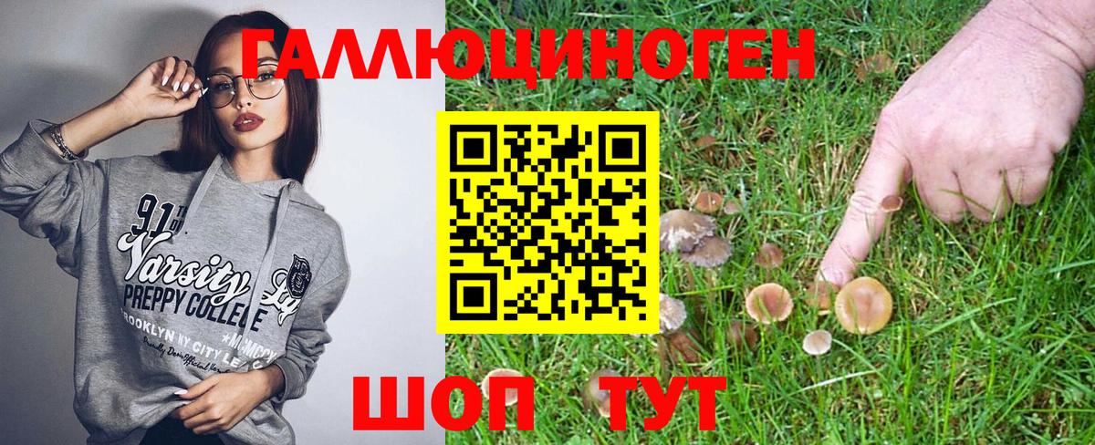 Галлюциногенные грибы прущие грибы  Галлюциногенные грибы MAGIC MUSHROOMS  Изобильный  Вход с VPN 